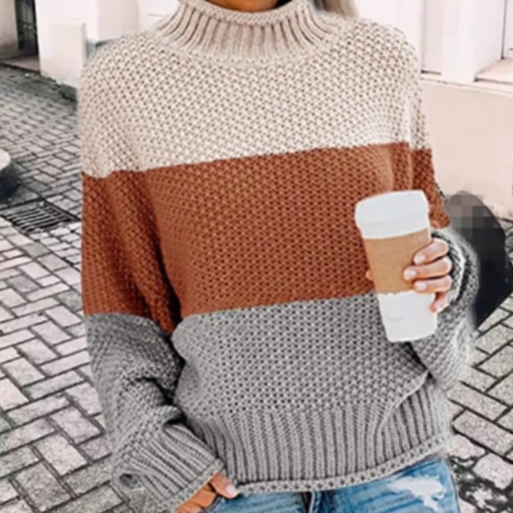 Chic Nation Women's Color Block Turtleneck Sweater - Cream, Brown, Gray